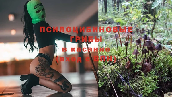 мдпв Абаза