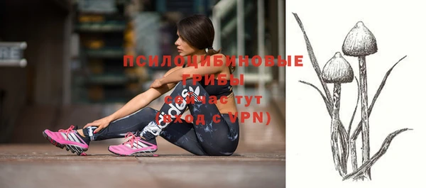 тгк Алексеевка