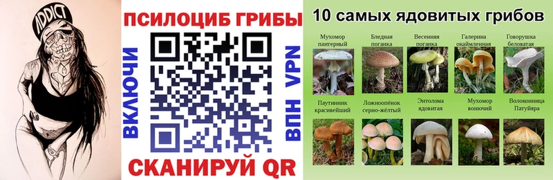 Галлюциногенные грибы Psilocybine cubensis  купить  сайты  Новоуральск 