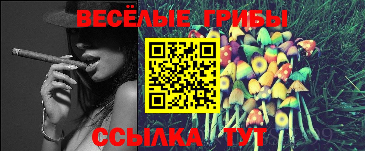 Галлюциногенные грибы GOLDEN TEACHER Новоуральск