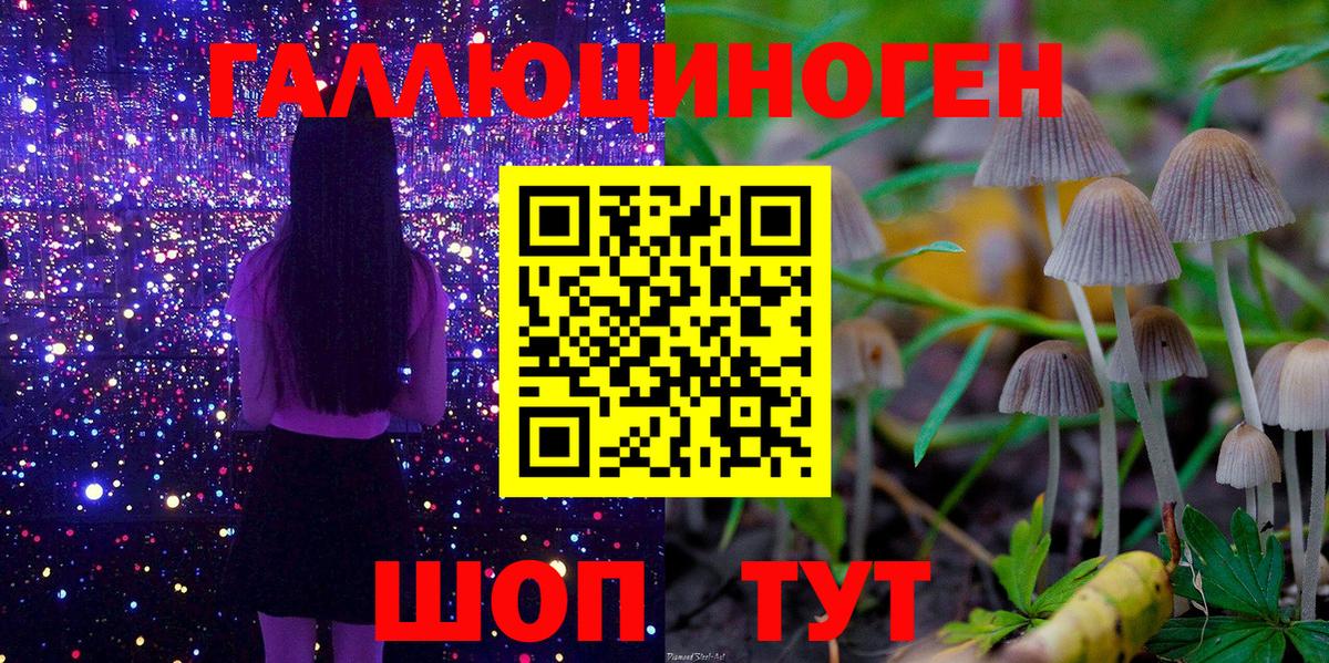 Галлюциногенные грибы MAGIC MUSHROOMS  Вход с VPN  Новоуральск 